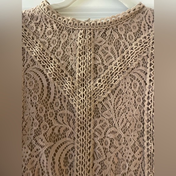 Cable & Gauge Beige Lace Detail Short Sleeve Top - Picture 2 of 5